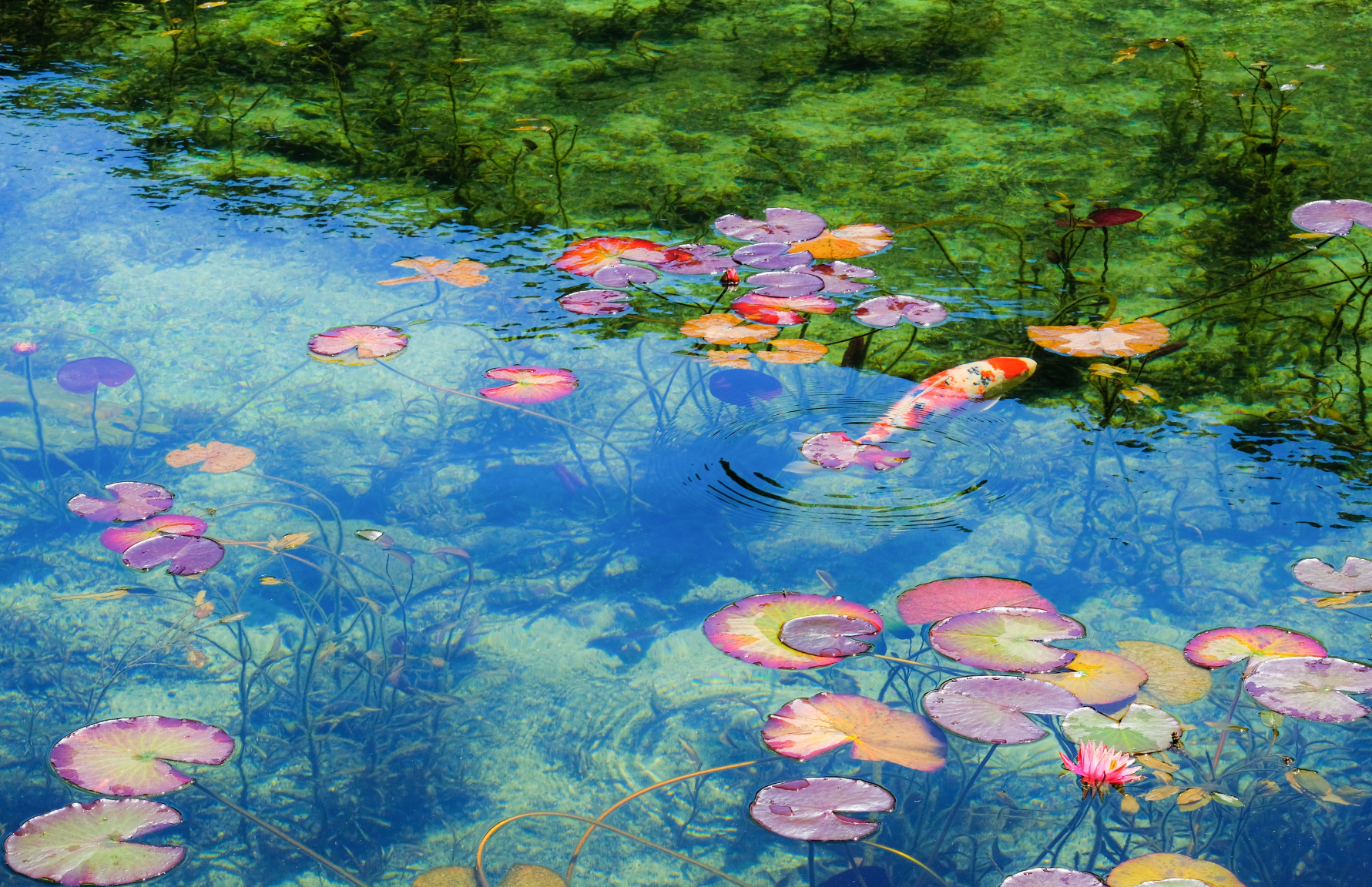 Webコンサルティング